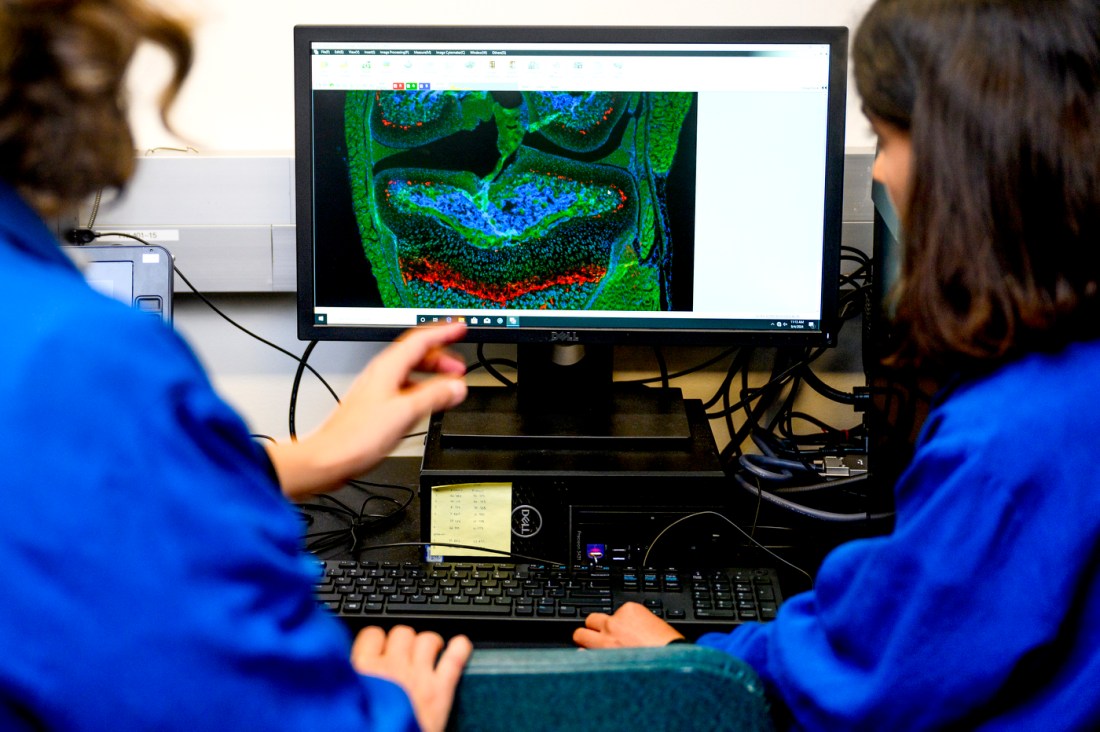 Researchers looking at visual test results on a computer screen.