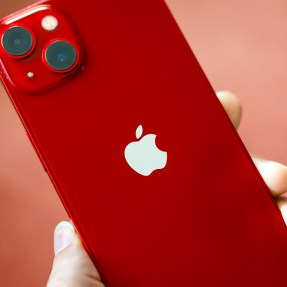 A person holding a red iPhone.