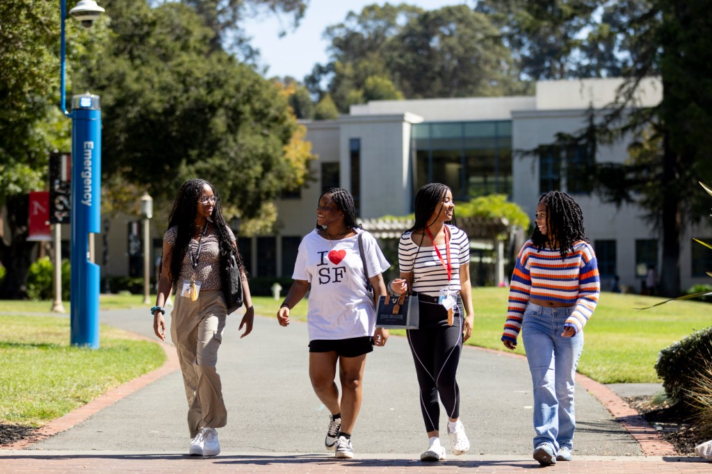 Four people walk together on a sunny path outside.