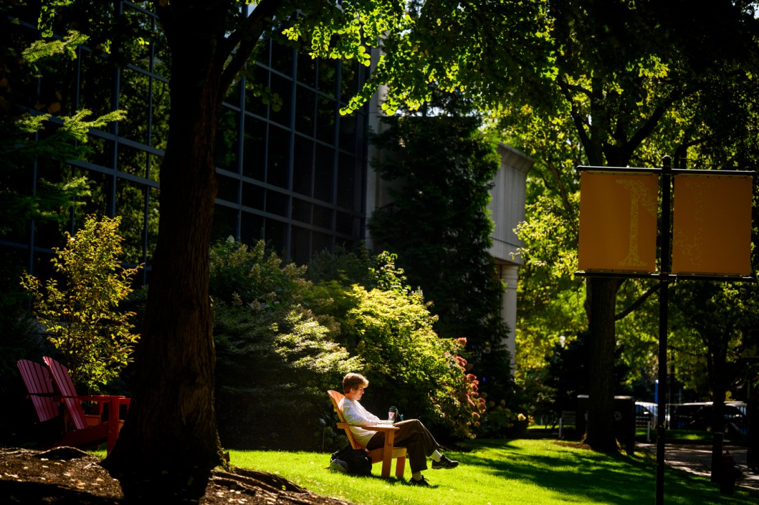 A student studying outside near campus buildings and trees.