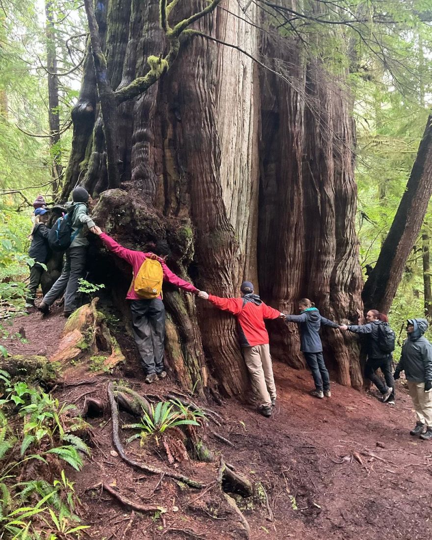 Students standing hand in hand with their arms outstretched wrapped around a tree.