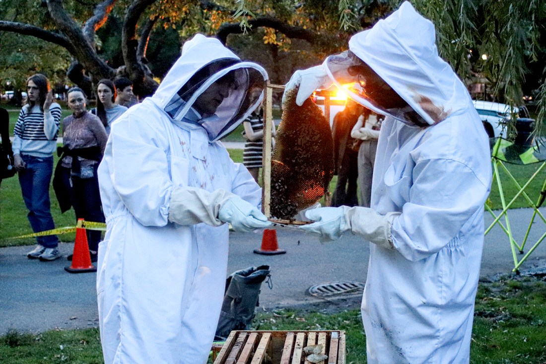 Two beekepers holding a screen of bees in between them.