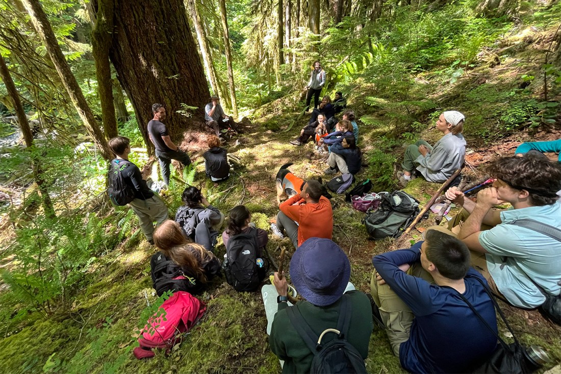 Students sitting in an old-growth forest in the Pacific Northwest.