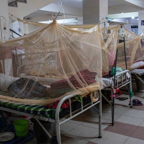 Patients lying in hospitals beds with mosquito nets around them.