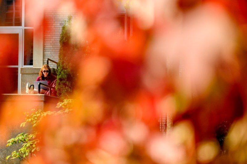 A person sits at a table framed by fall foliage.