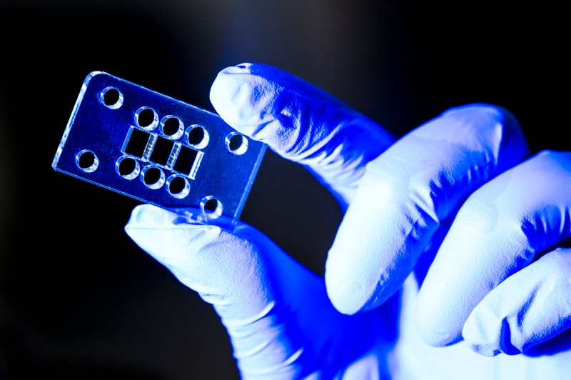 A gloved hand holding a small piece of laboratory equipment.