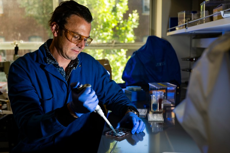 A researcher works in a lab setting using a pipette.