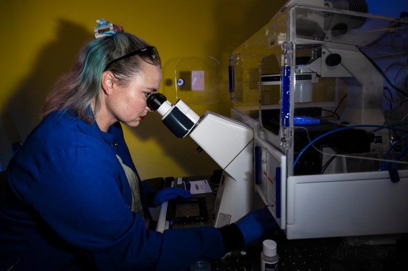 A person looks through a microscope in a laboratory.