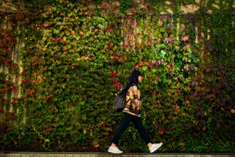 A person walks past a wall covered in greenery.