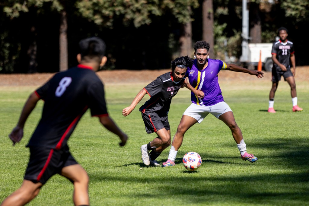 Players competing during a soccer match on a grassy field.