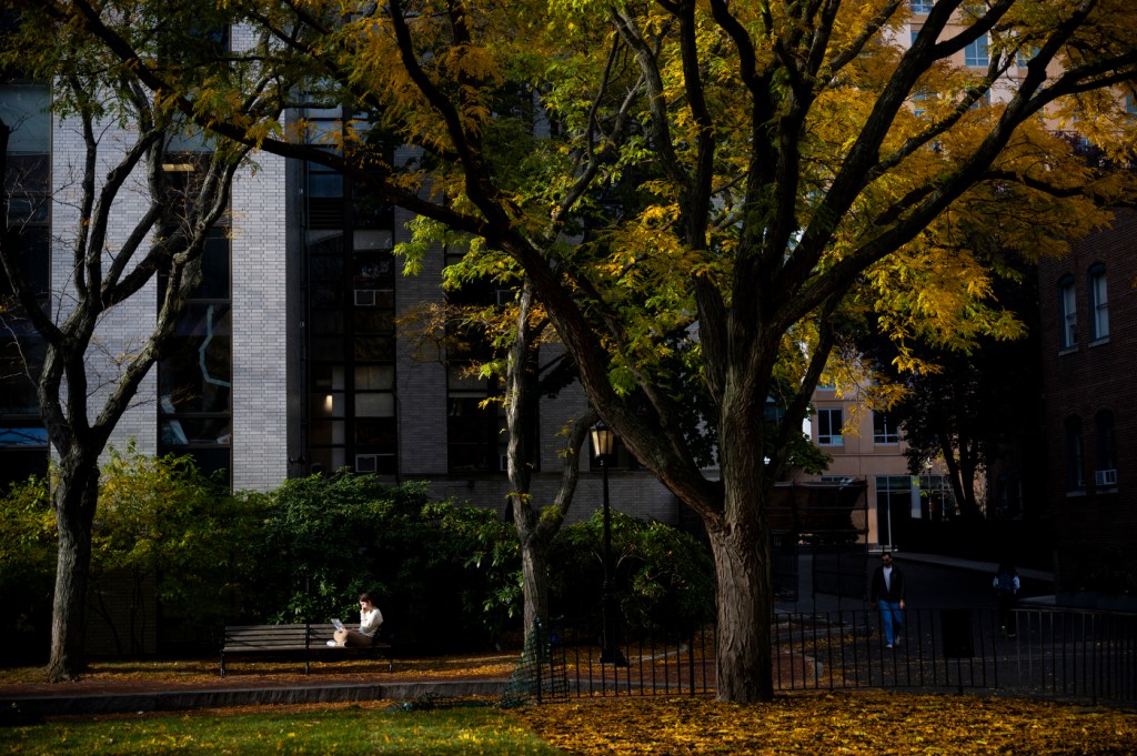 A person sits quietly on a bench under large, leafy trees.