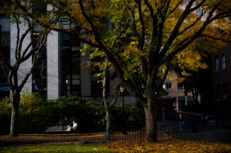 A person sits quietly on a bench under large, leafy trees.