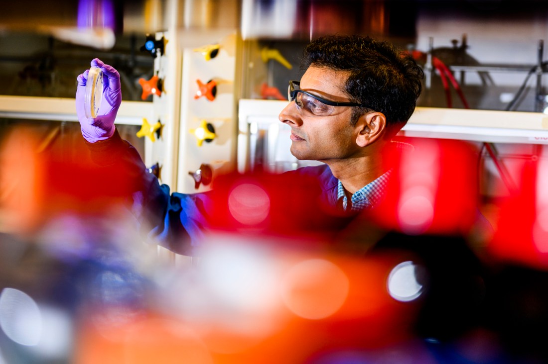 Neel Joshi working in a lab. 