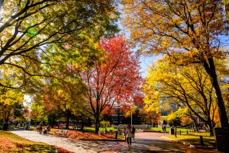 Trees in fall foliage in Centennial Common on the Boston Campus.