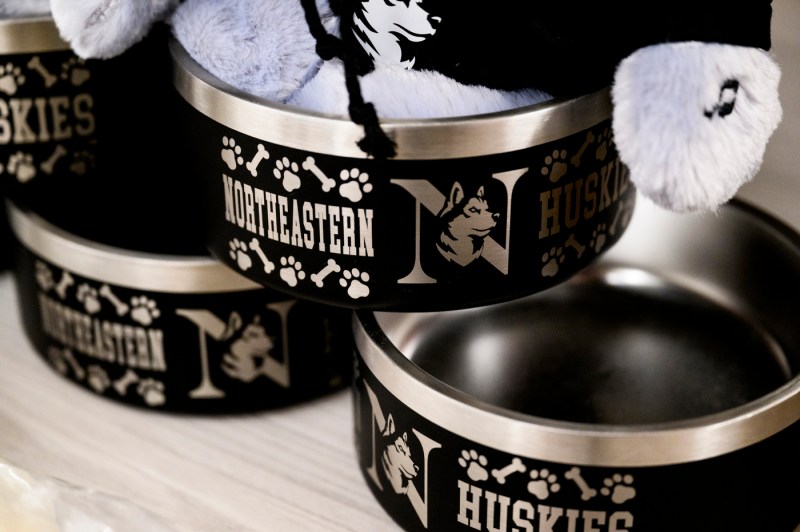 Northeastern branded dog toys and bowls.