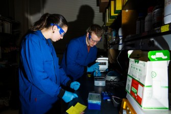 Two individuals working in a lab environment, focusing on scientific tasks with lab equipment and materials.