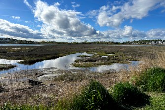 The Belle Isle salt marsh.