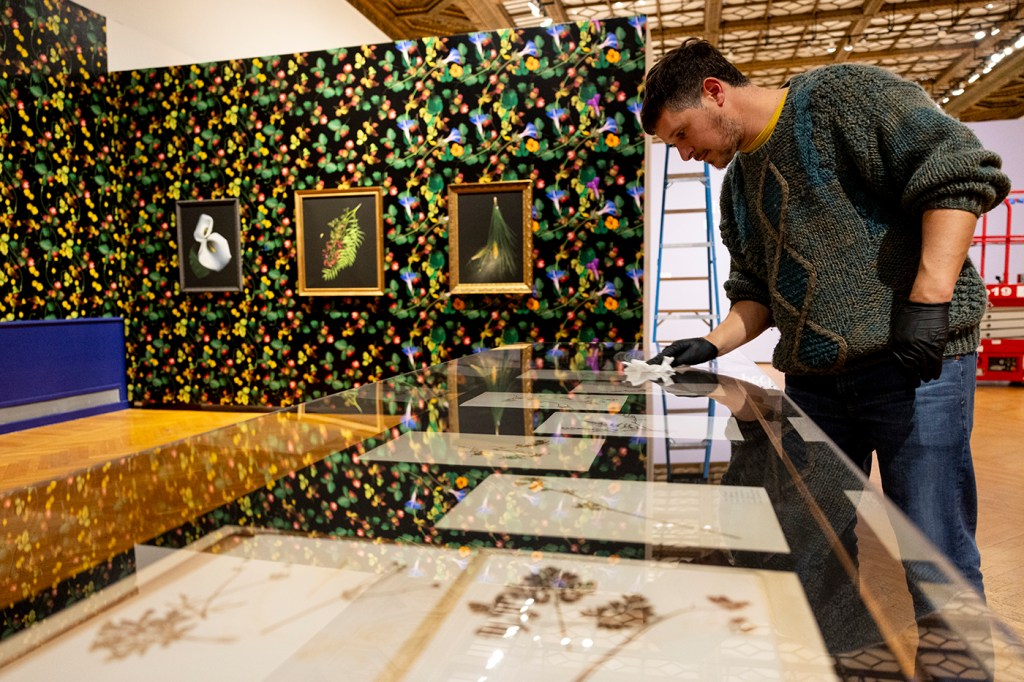 A person carefully works on an art exhibit installation in a brightly decorated gallery.