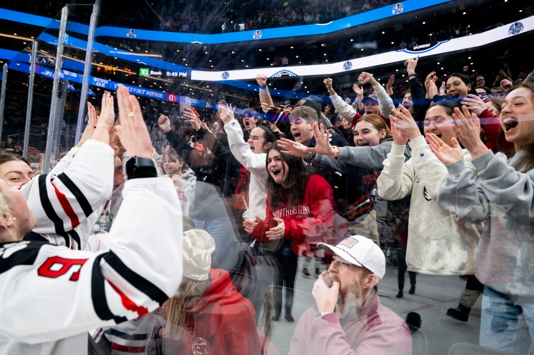 Fans and players reach out and cheer together