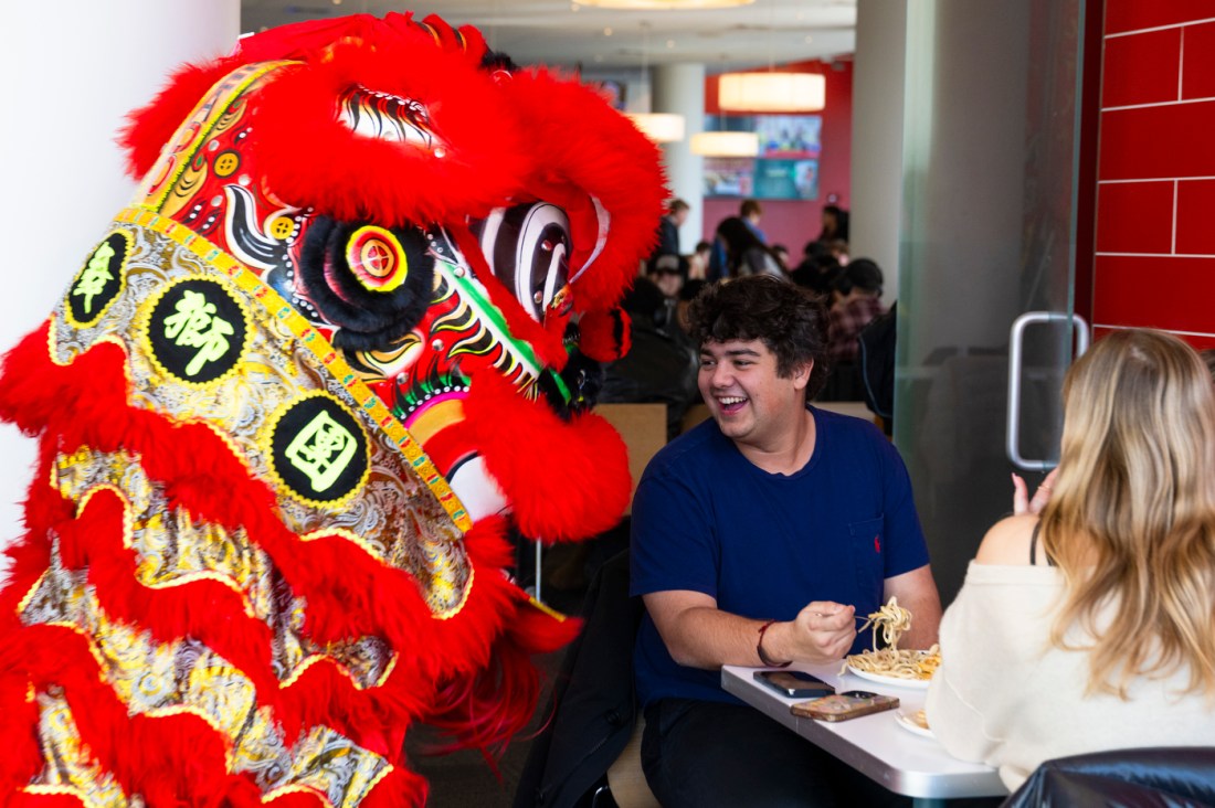 Participants of the Lunar New Year celebration engage with the lion dance, enjoying the festive and cultural performance.