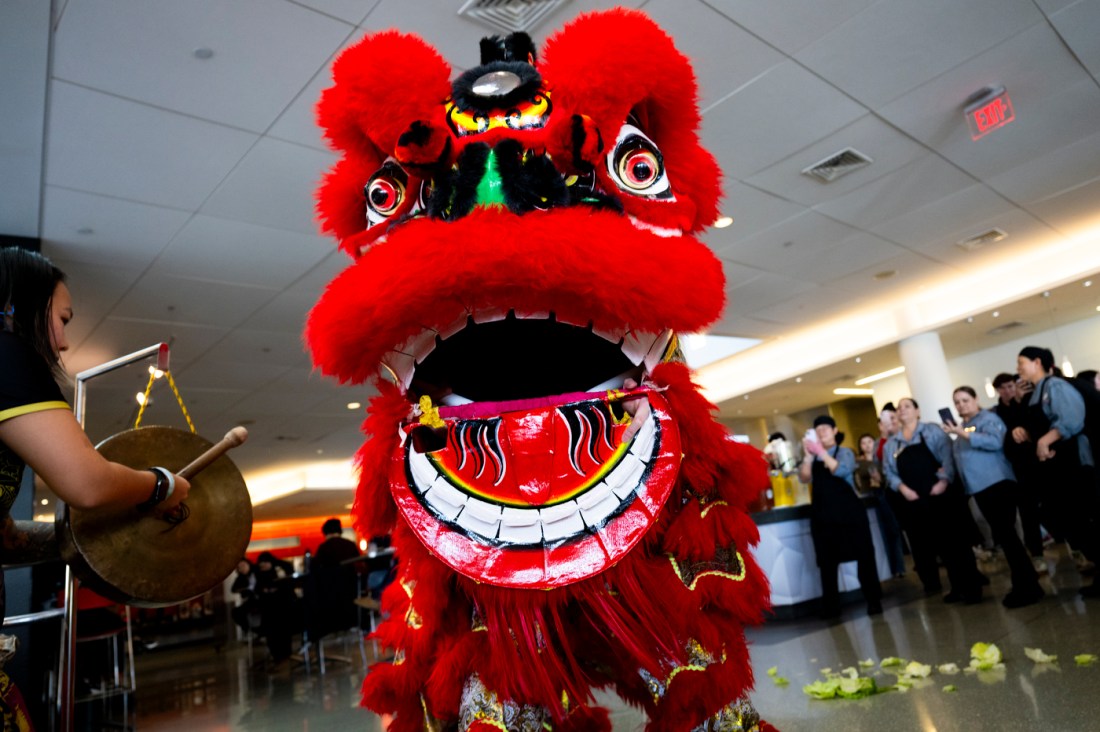 A lion dance is performed by Wah May members at Northeastern's International Village dining hall to celebrate Lunar New Year.