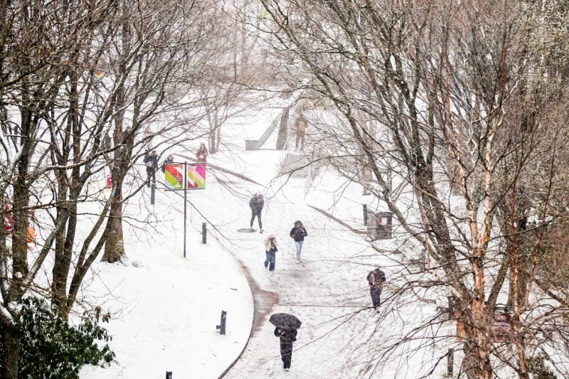 People walk outdoors on a snowy day with trees and pathways visible.