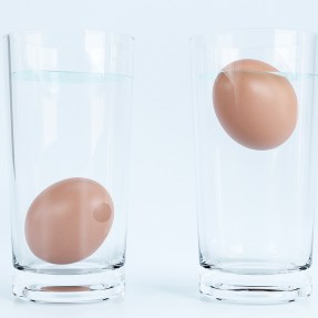 Two glasses of water next to each other, one with an egg at the bottom of the glass, the other with the egg floating at the top.