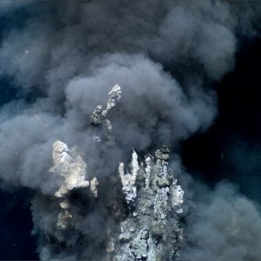An underwater hot spring. It looks like dark grey smoke coming out of coral on a black background.