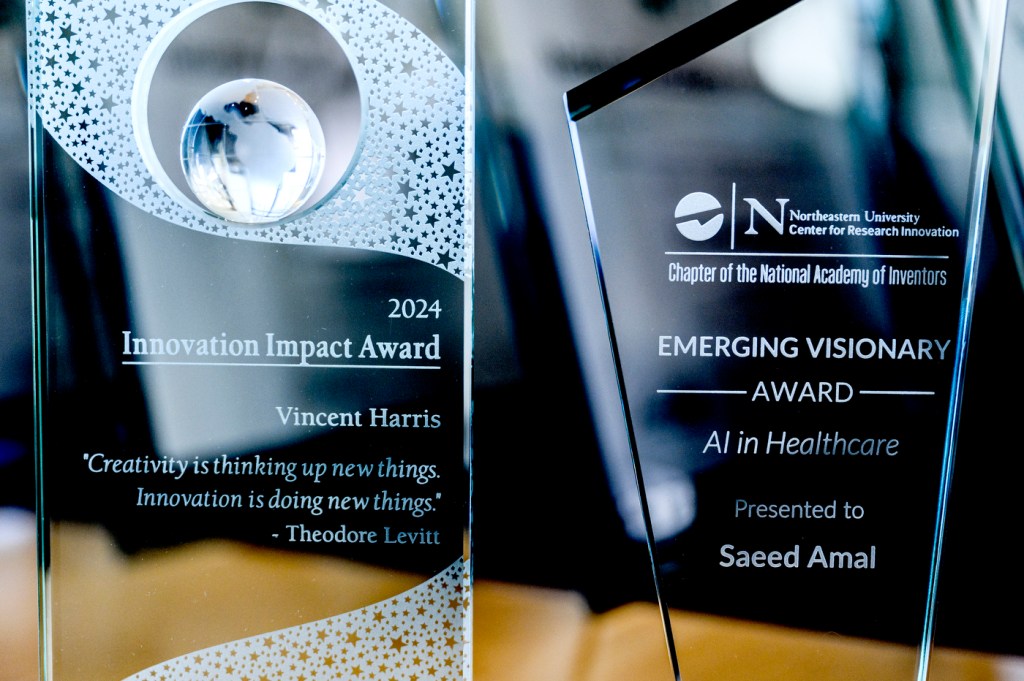 Two glass awards next to each other.