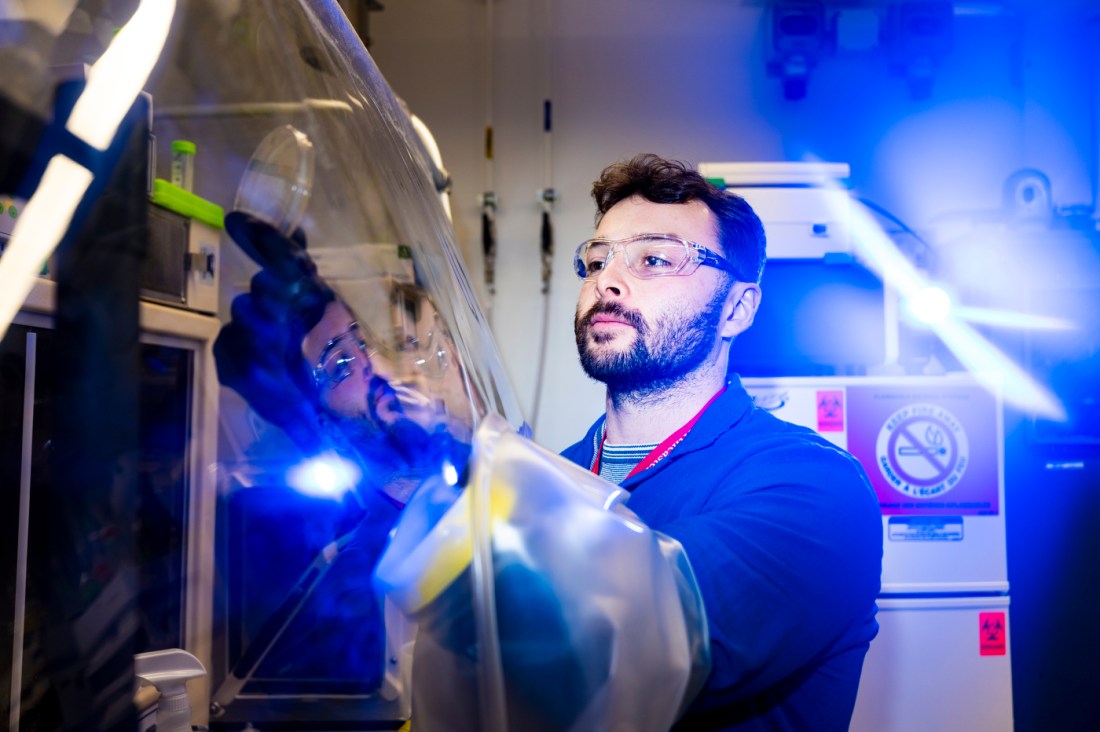 Justin Hayes works on gut microbiome research related to probiotics for gut health.
