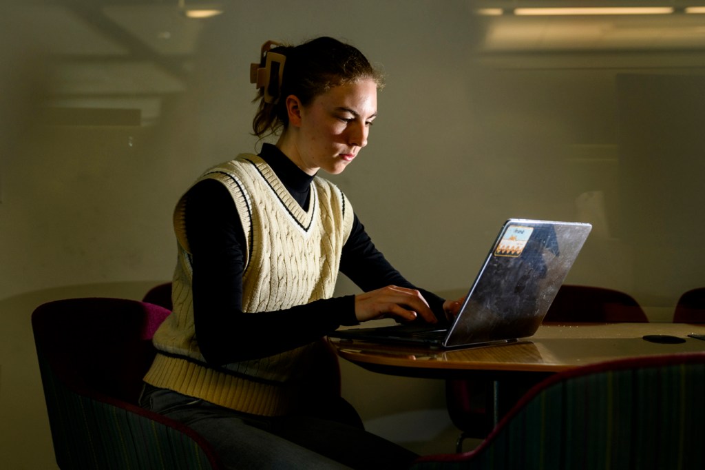 Ariana Mechem working at a laptop.