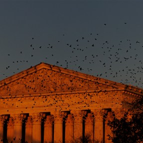 The Supreme Court building seen at sunset.