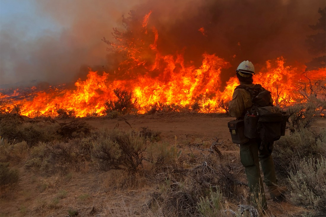 Evan Kenny standing in a field in front of a wildfire.