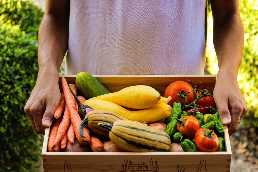 A person carrying a box full of fresh fruits and vegetables.