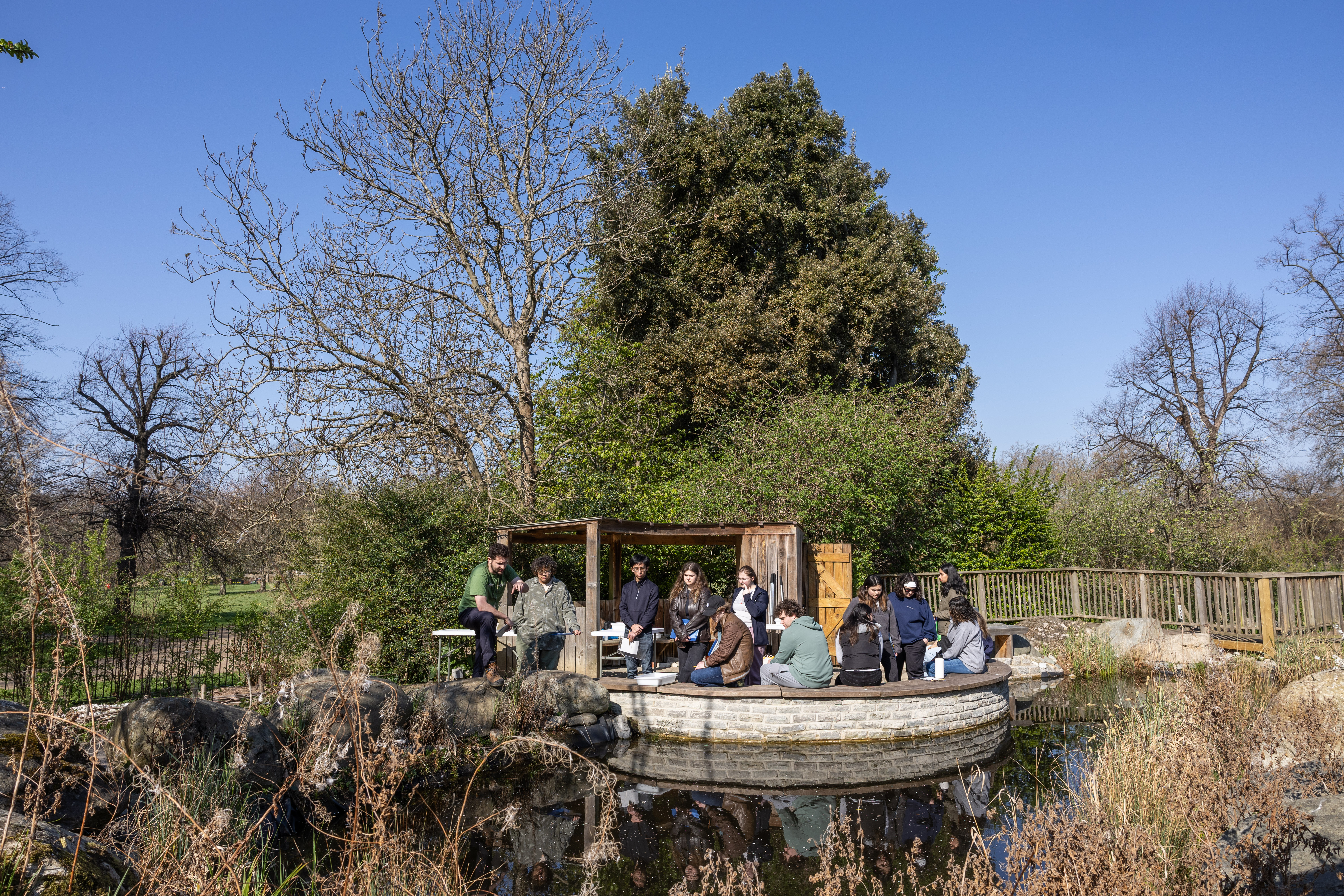 A group of students standing and sitting next to a pond in Hyde Park.
