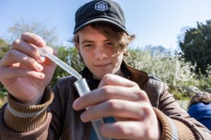 A Northeastern student holding up a sample from an ecological survey of Hyde Park.