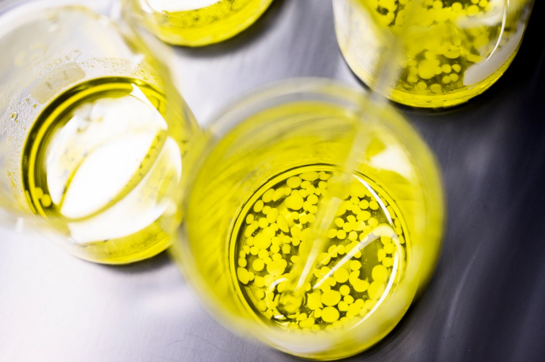 Several beakers filled with a yellow liquid.
