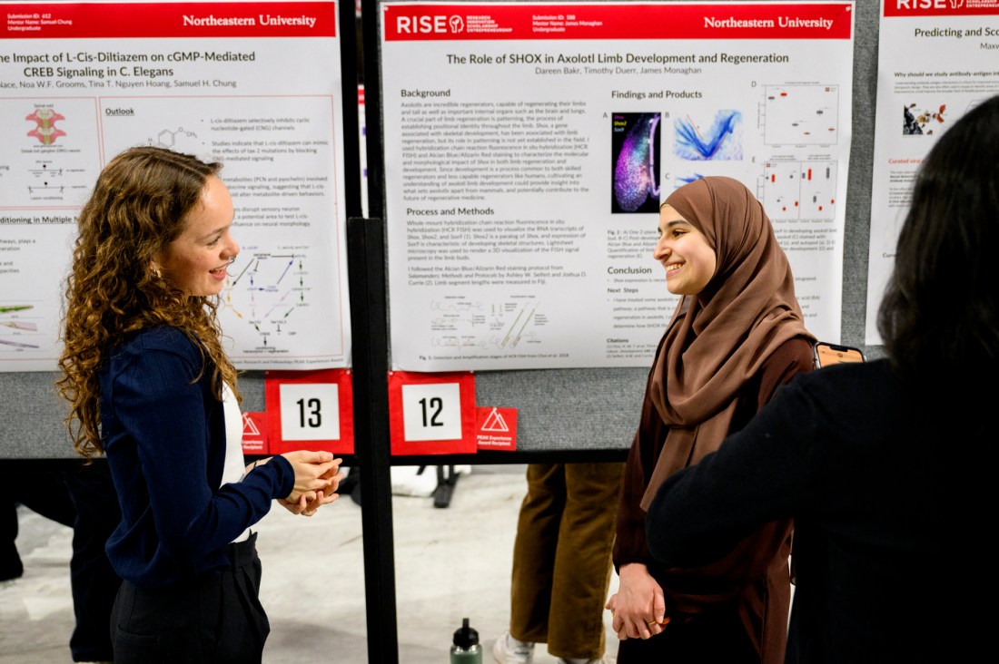 Two students standing in front of poster displays at the Rise EXPO.