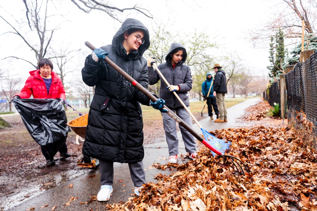 Members of the Northeastern community raking up dead leaves.