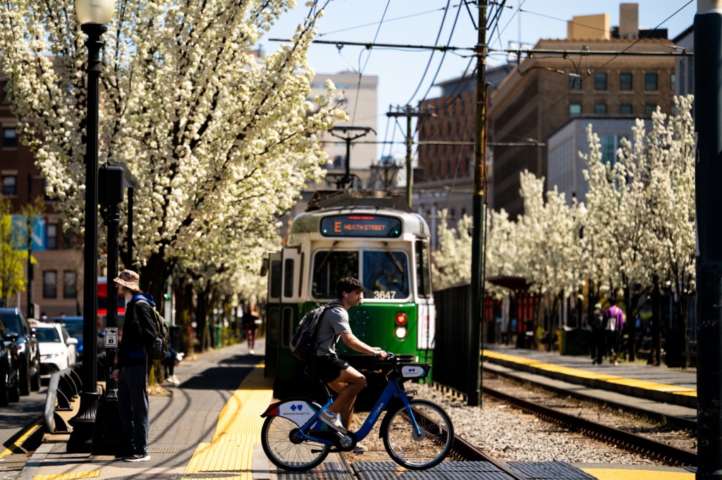 A person rides a bike across train tracks as a streetcar approaches, with blooming trees and city buildings in the background.