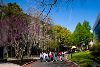People walk along a tree-lined path on a sunny day.