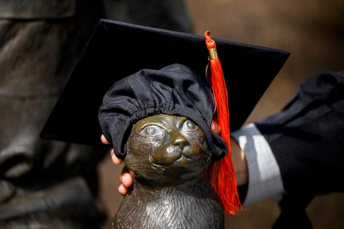 A cat status with a graduation cap placed on it's head.
