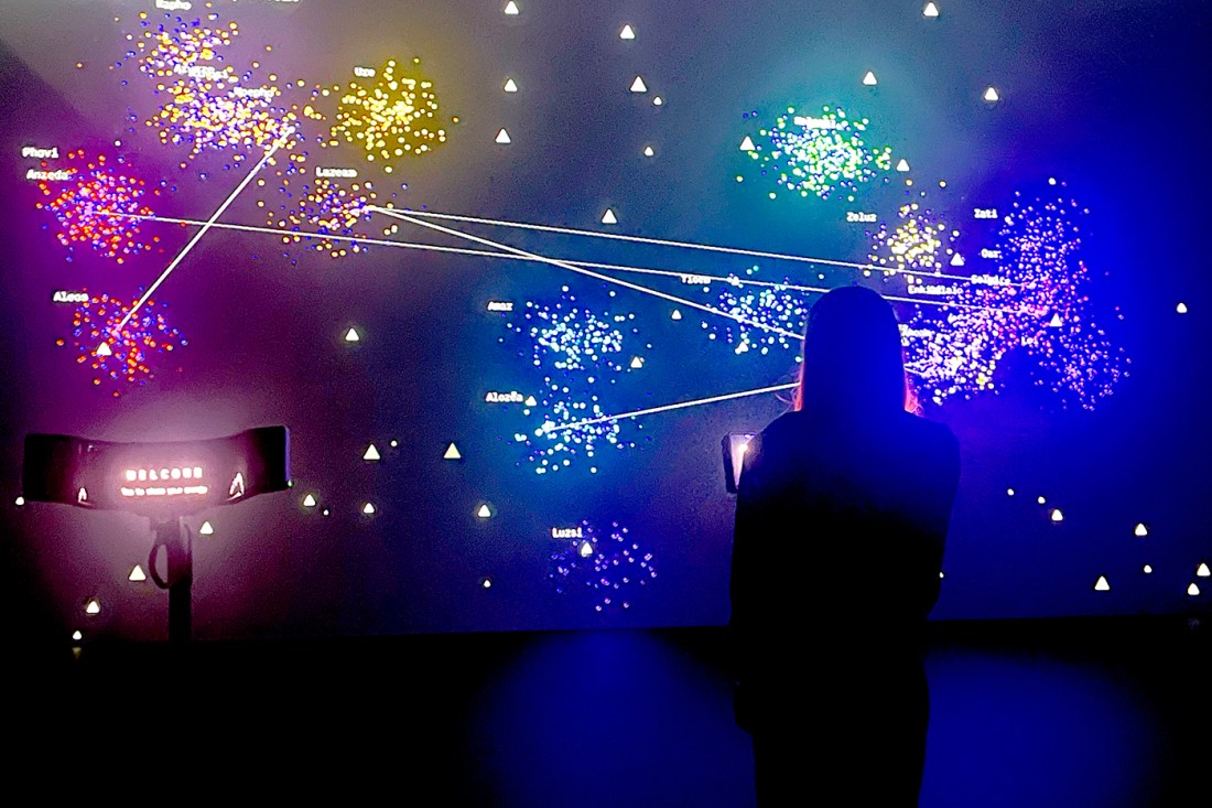 A person standing in front of an exhibit. The exhibit is a dark screen with colors mapped on to it to show people's energy impact.