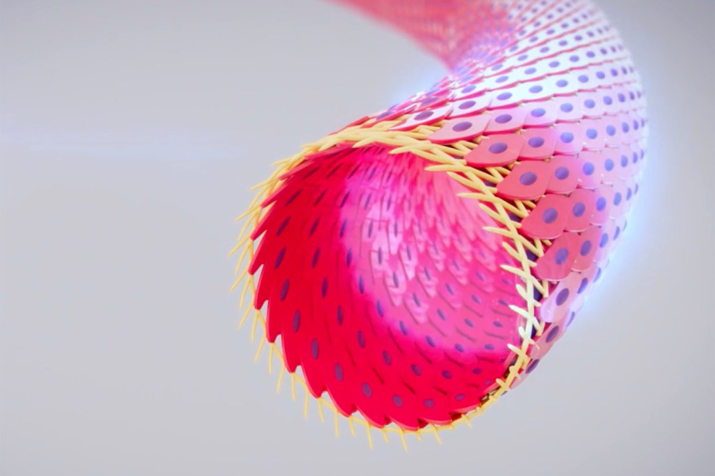 A digital rendering of an artificial blood vessel.