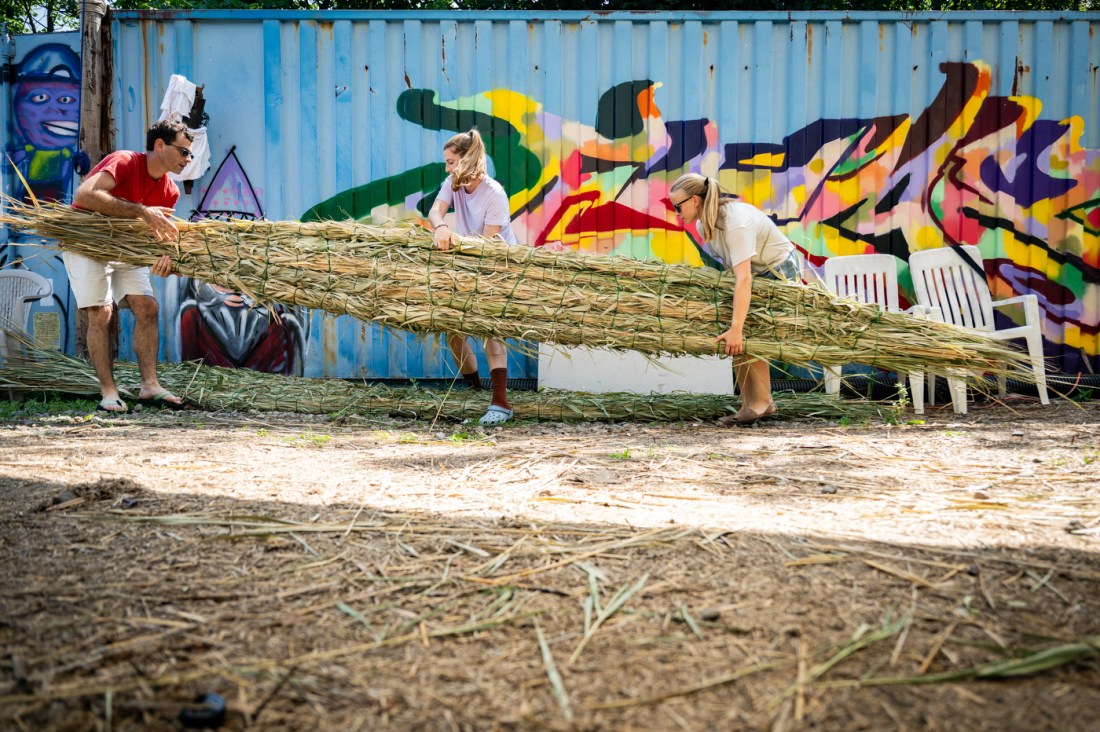 Three people carry a large, handwoven bundle of marsh grasses in front of a colorful mural at a work site in Boston. The effort is part of a Northeastern-led project to restore local coastlines with nature-based infrastructure.