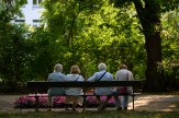 A group of older adults sitting together on a bench, seen from behind.