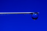 A sharp object set against a navy blue background.