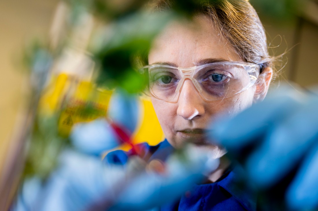 Cassandra martin wearing lab glasses in a lab.