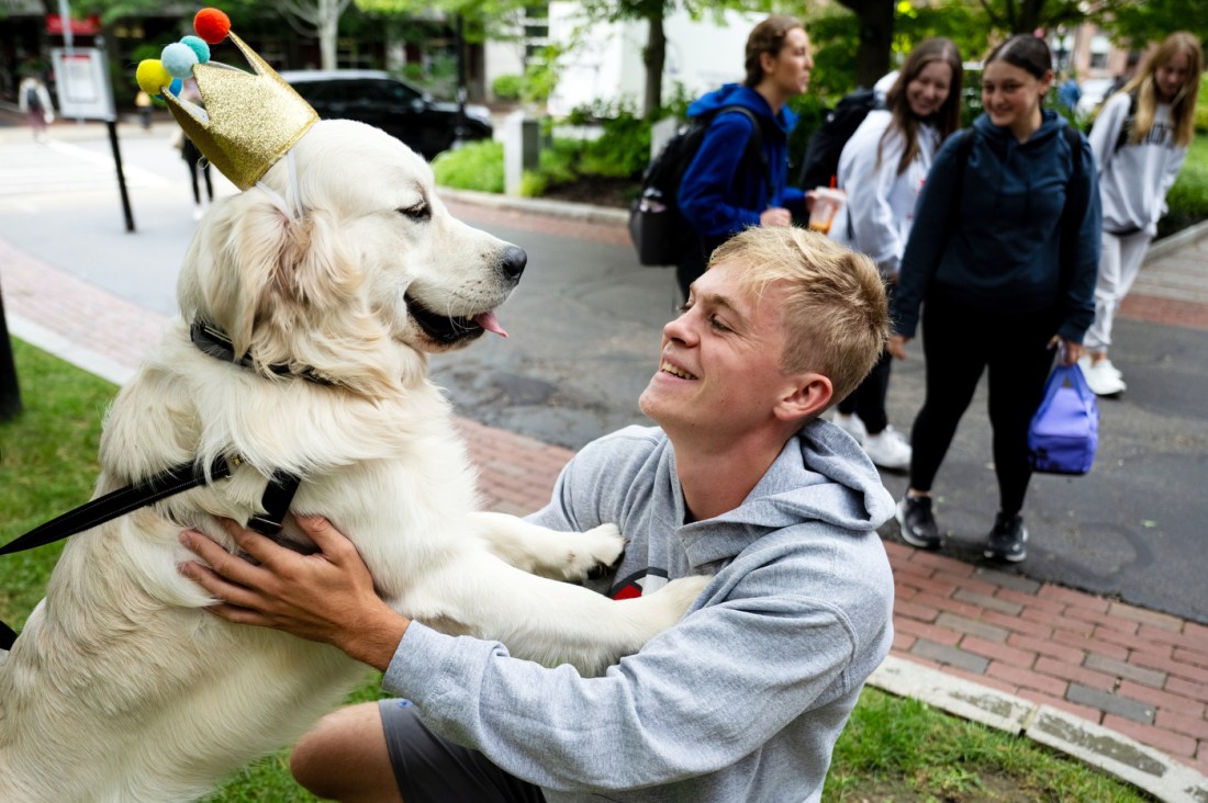 Students and NUPD officers gather outdoors with community resource dogs from local universities to celebrate NUPD dog Ryder’s second birthday on Sept. 10, 2025. Ryder wears a party hat as attendees smile and pet the dogs.