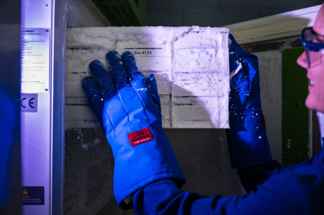 A researcher retrieves frozen tissue samples from a cold storage unit at Northeastern’s Marine Science Center.